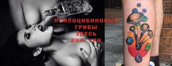 mix Бородино