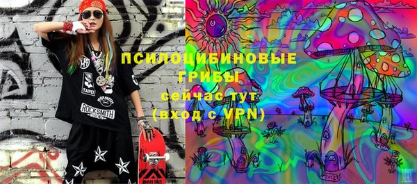 mix Бородино