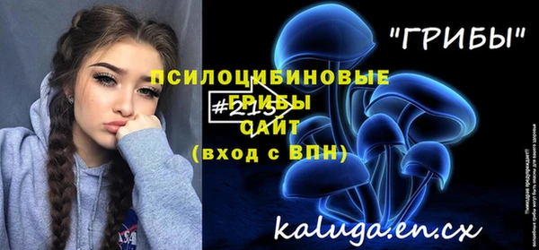 mix Бородино