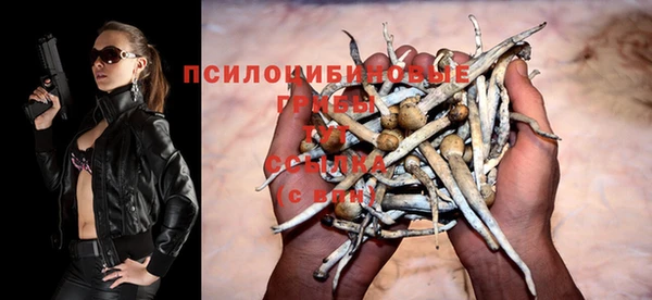 mix Бородино